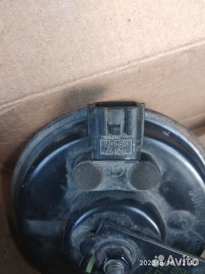 Звуковой сигнал