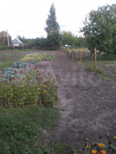 Участок 10 сот. (СНТ, ДНП)