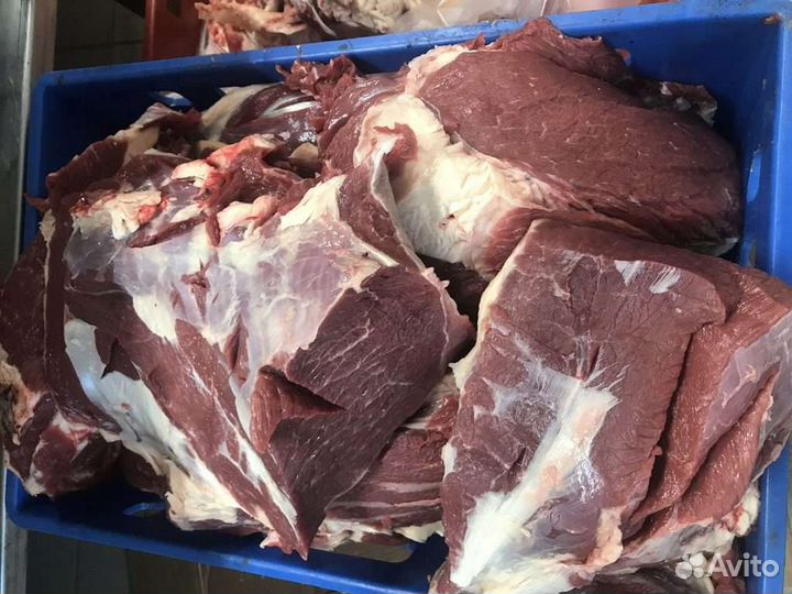 Мясо говядины