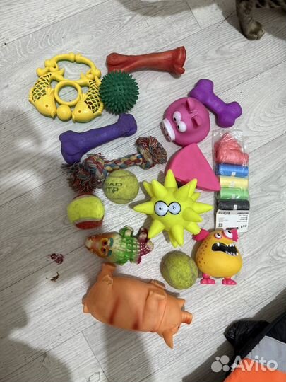 Игрушки ошейники и щетки доя собак