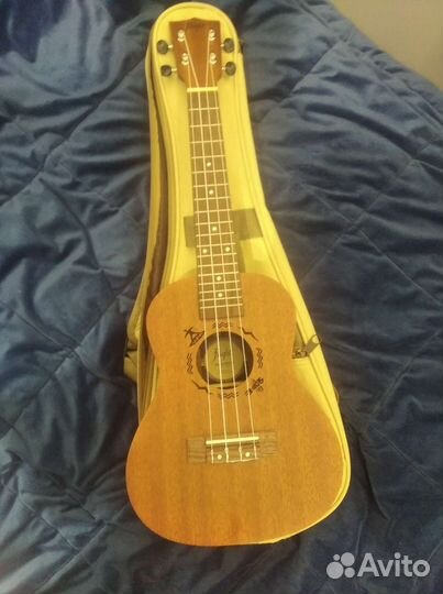 Укулеле flight