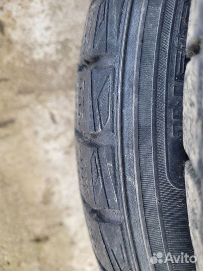 Dunlop Winter Maxx WM01 175/65 R14