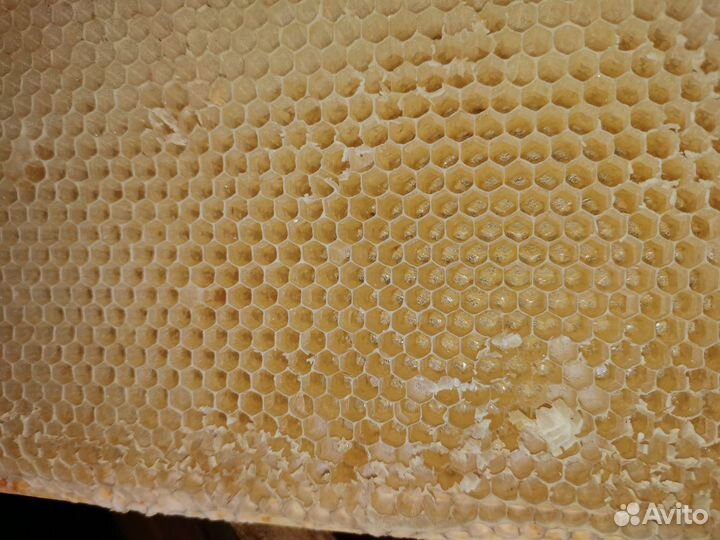 Полурамки для пчёл с сушью