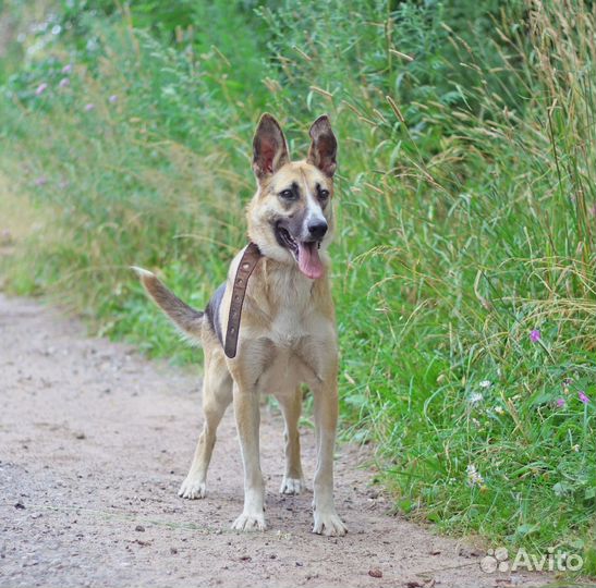 Дана ищет дом