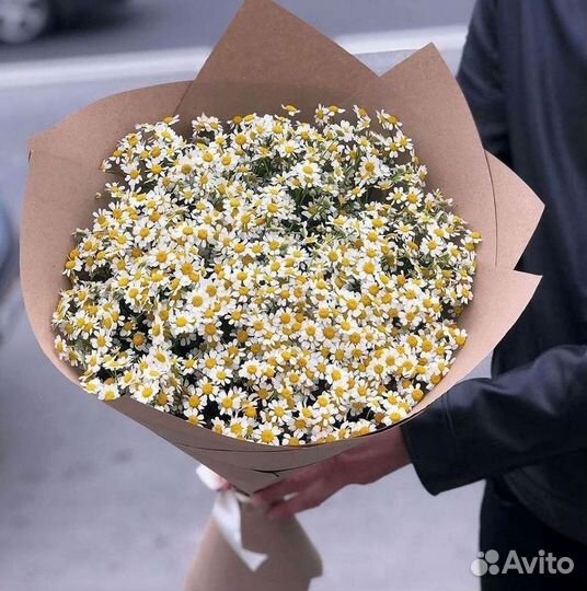 Цветы ромашки. Букеты ромашек. Цветы доставка