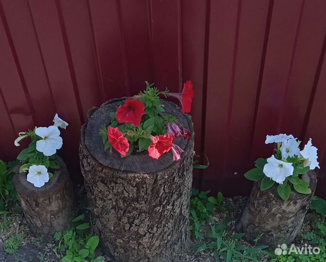 Изделия из дерева для декора