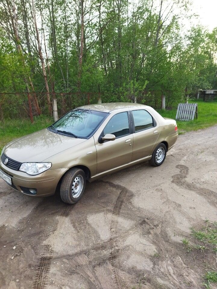 FIAT Albea: фото владельца