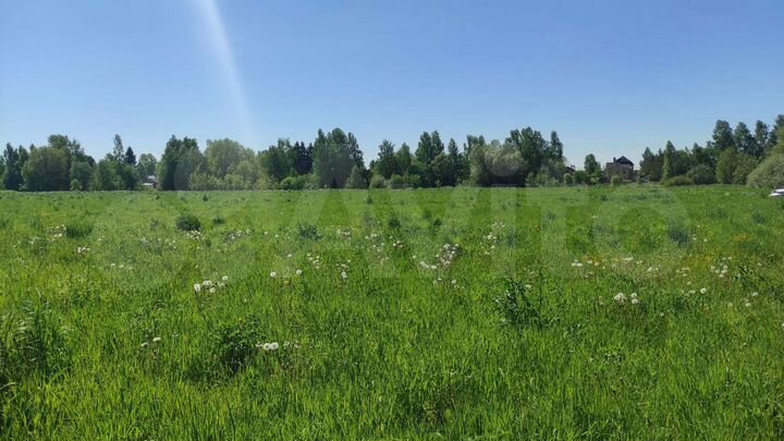 Участок 21,7 га (ИЖС)