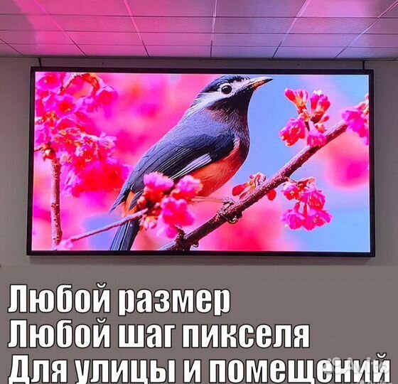 Светодиодный LED экран
