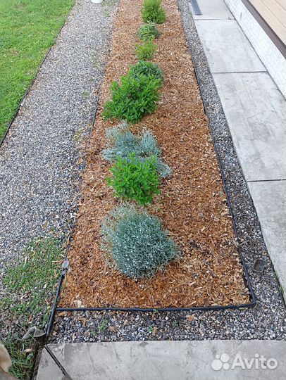 Щепа для мульчи