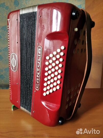 Аккордеон немецкий, 1/2, 