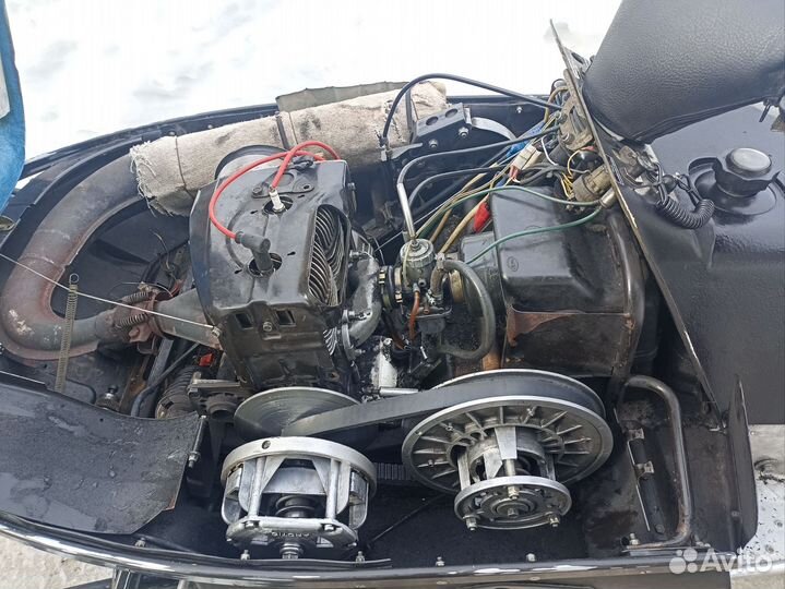 Продаю рысь 500м