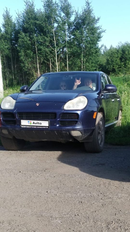 Porsche Cayenne: фото владельца