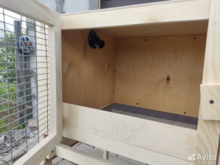 Брудер для цыплят