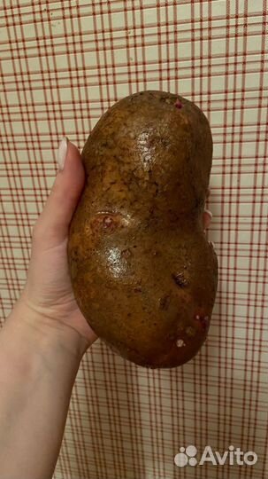 Картофель с доставкой