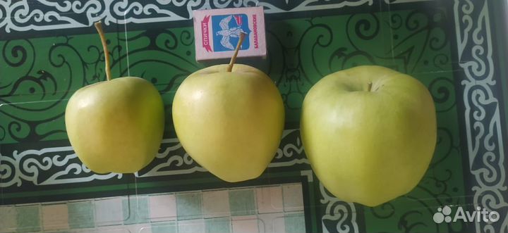 Яблоки оптом