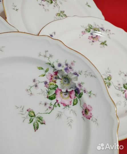 Тарелки столовые под горячее Франция