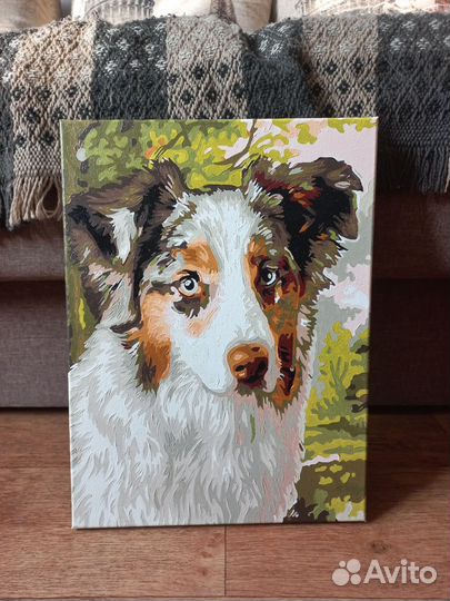 Картина по номерам собака