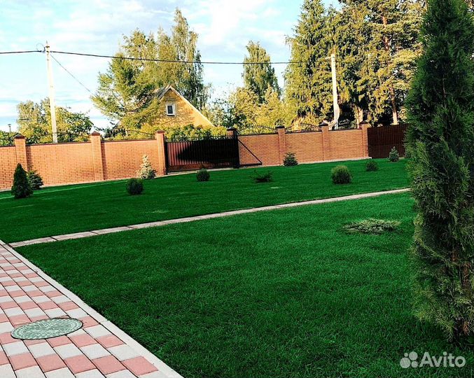 Рулонный газон 