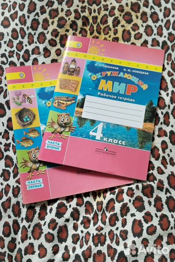 Рабочая тетрадь Окружающий мир