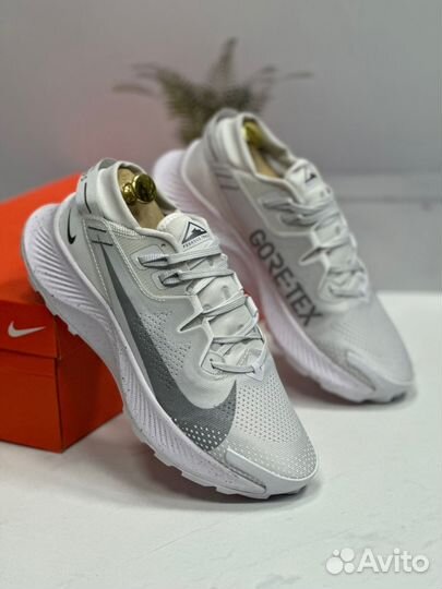 Кроссовки мужские Nike Pegasus Trail 2