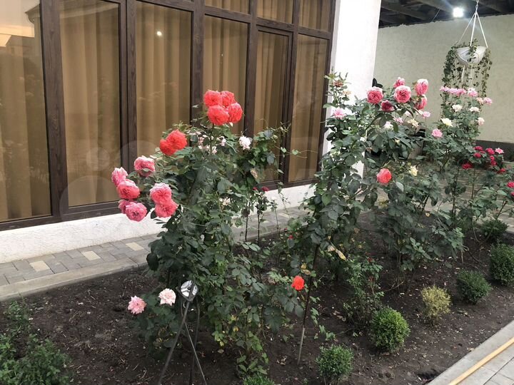 Дом 150 м² на участке 6 сот.