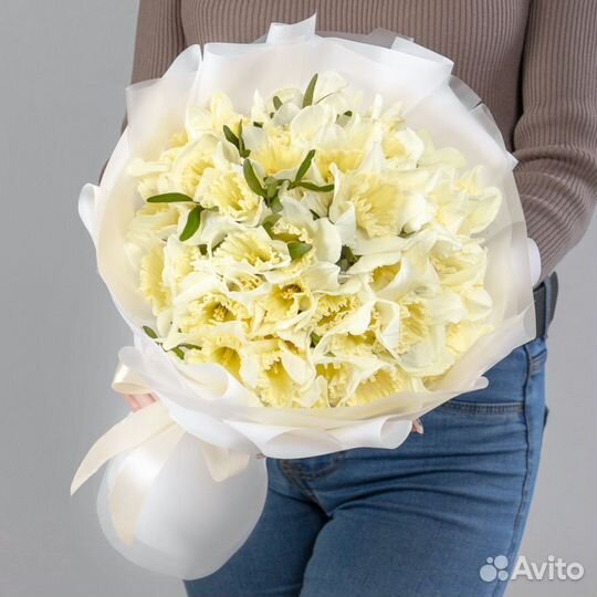 Нарциссы цветы