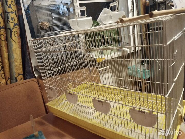 Большая клетка для птиц