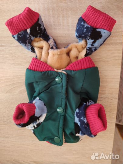 Одежда для собак мелких пород