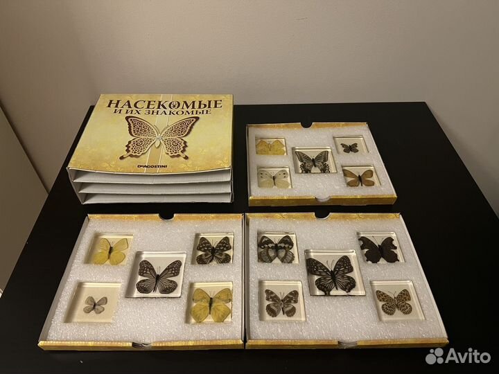 Бабочки в смоле