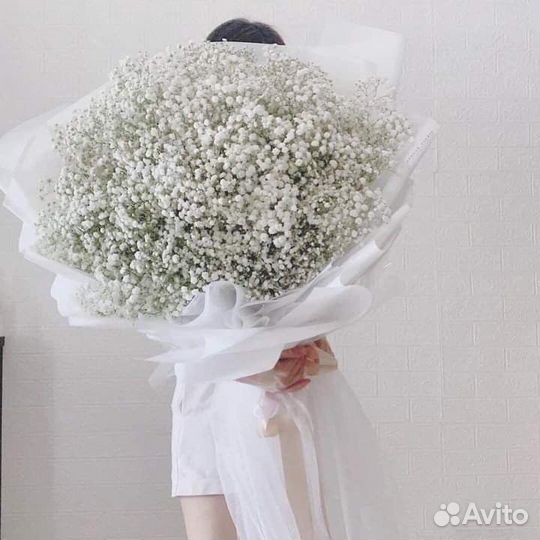 Пышные Букеты Гипсофилы