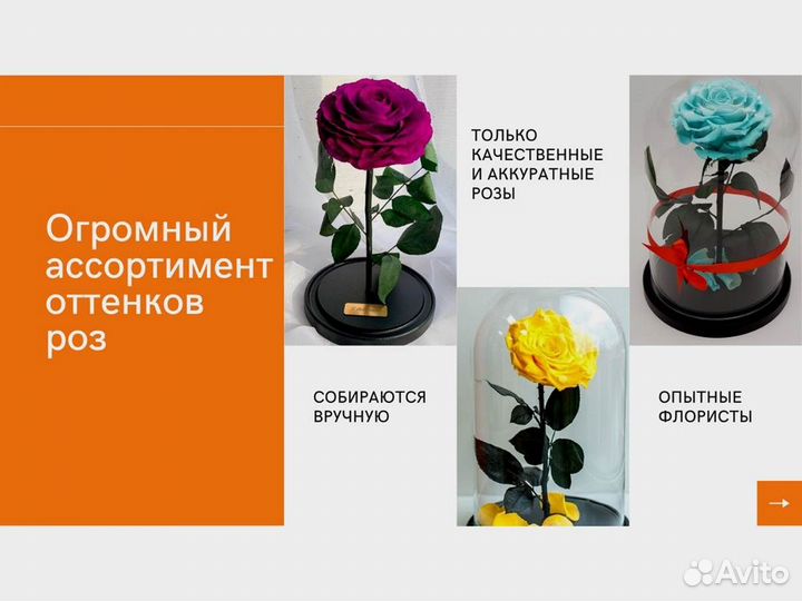Роза в колбе. Вечная