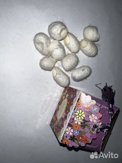 Коконы тутового шелкопряда