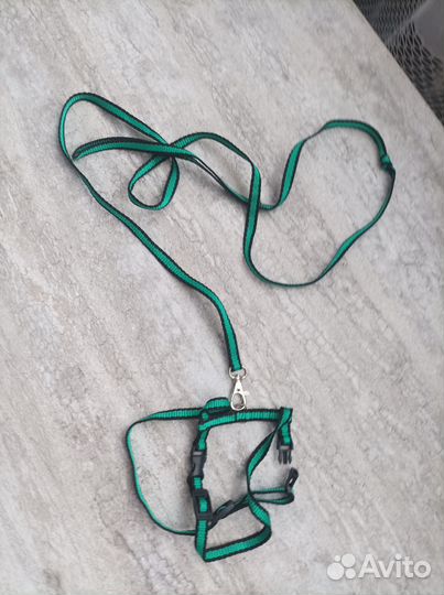 Шлейка для кошки