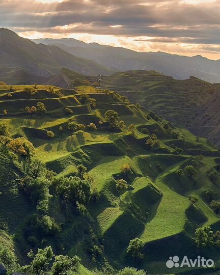 Индивидуальные туры по Дагестану