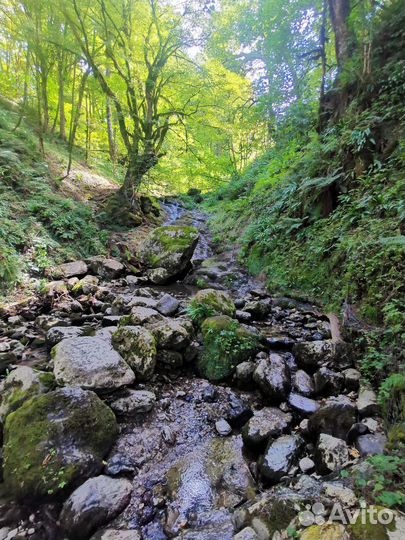 Джип тур в Сочи. Солохаул, Псахо, Мамонтово Ущелье