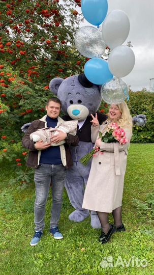 Аниматор мишка Тедди