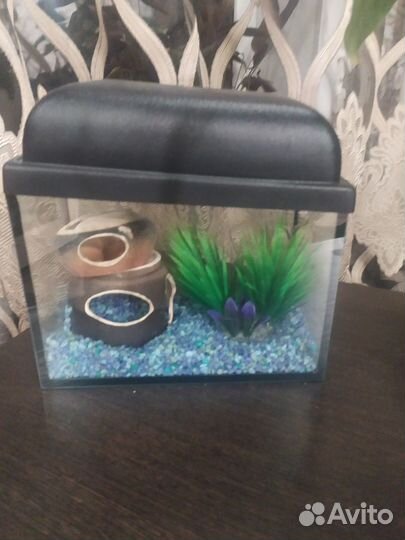 Аквариум