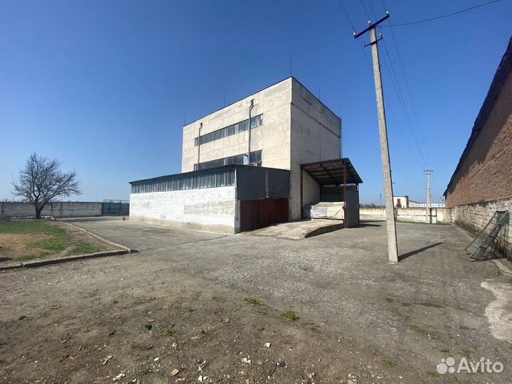 Мельница сортового помола и земельный участок