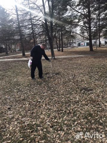 Продажа семян для газонов