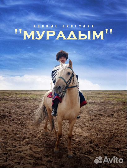 Конные прогулки