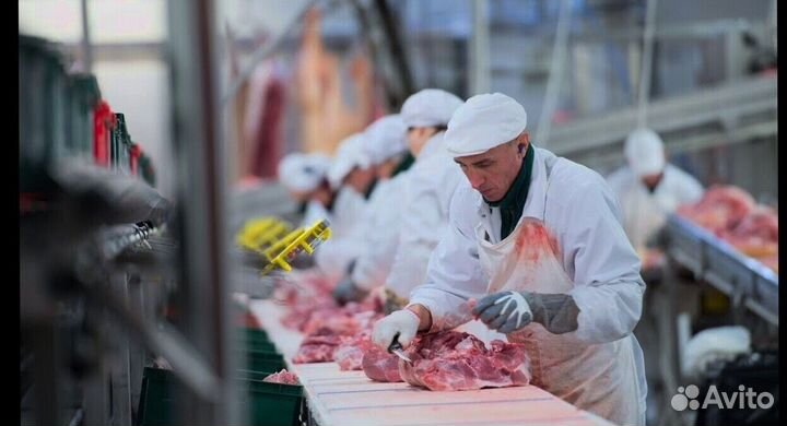 Разнорабочий на мясокомбинат(вахта)