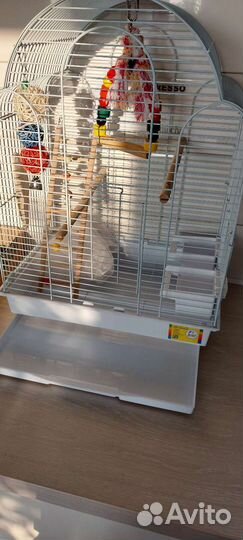 Клетка для попугая