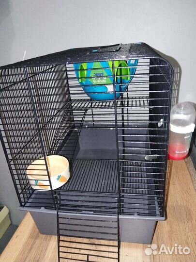 Клетка для грызунов, для крысы, бу