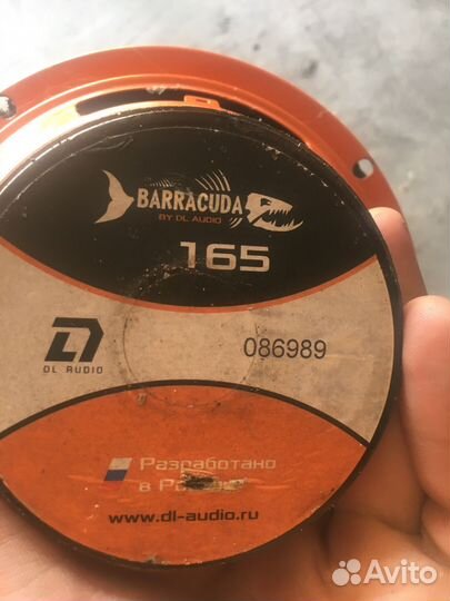 Колонки 160 баракуды