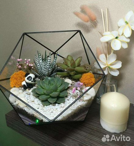 Флорариум подарок на новый год