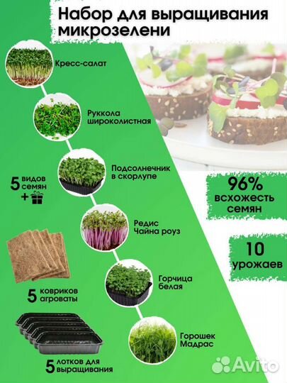 Набор для выращивания микро зелени 10 урожаев