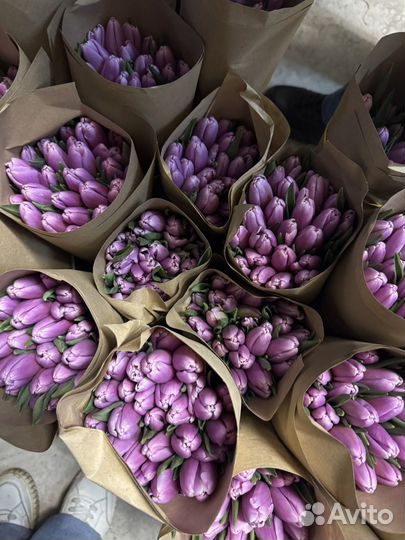 Тюльпаны к 8 марта оптом митино