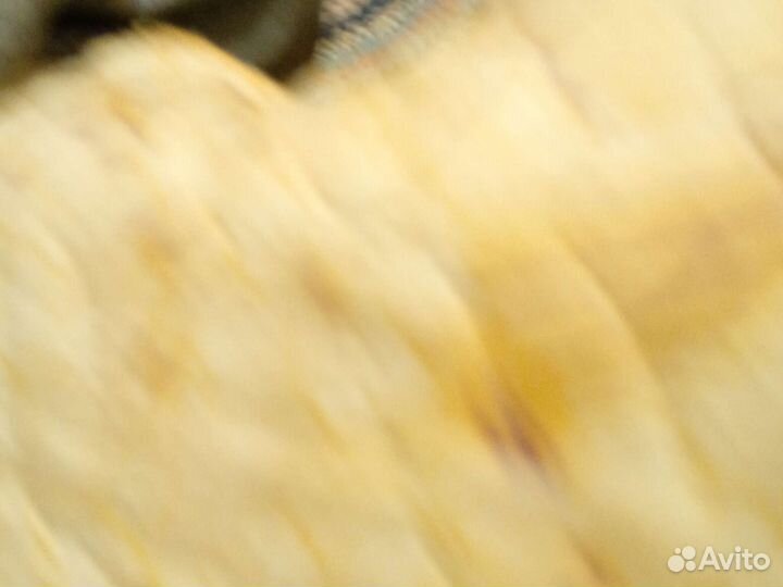 Беседы на русской земле. Иоаким (Парр)