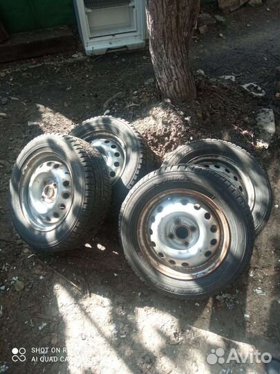 Dunlop All Season Maxx AS1 185/65 R14